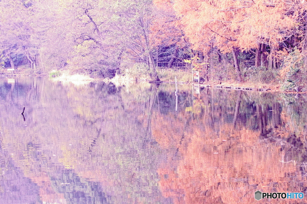 風無き公園の写し絵