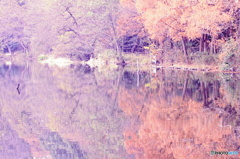 風無き公園の写し絵