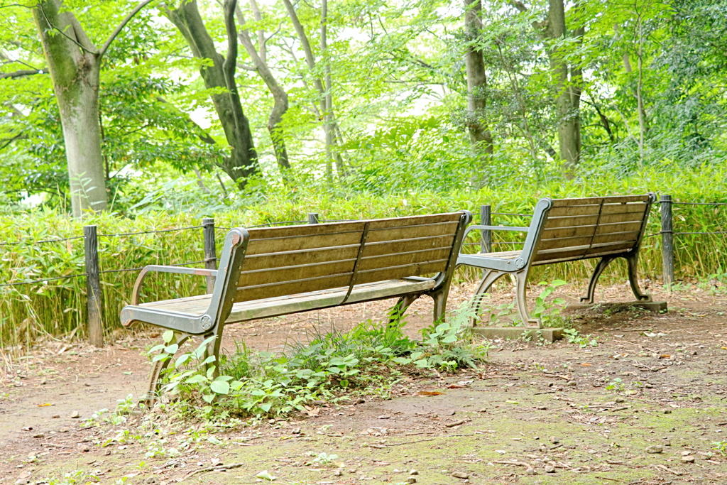 三宝寺池のベンチ