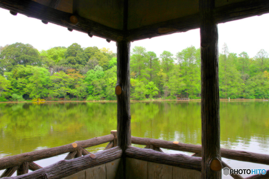 三宝寺池東屋新緑三景