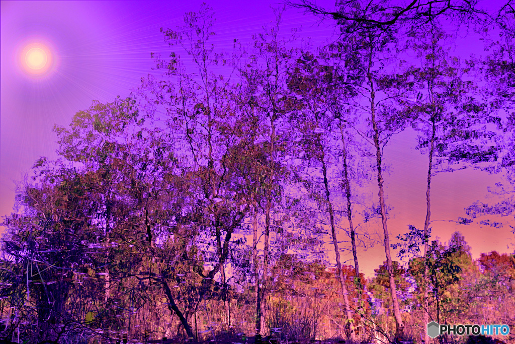 非現実から現実へ