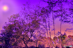 非現実から現実へ