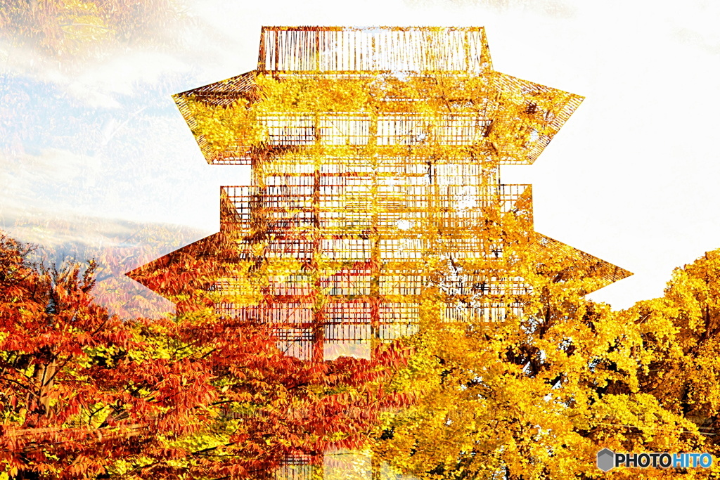 同化現象