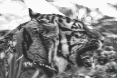 眠気の迫力