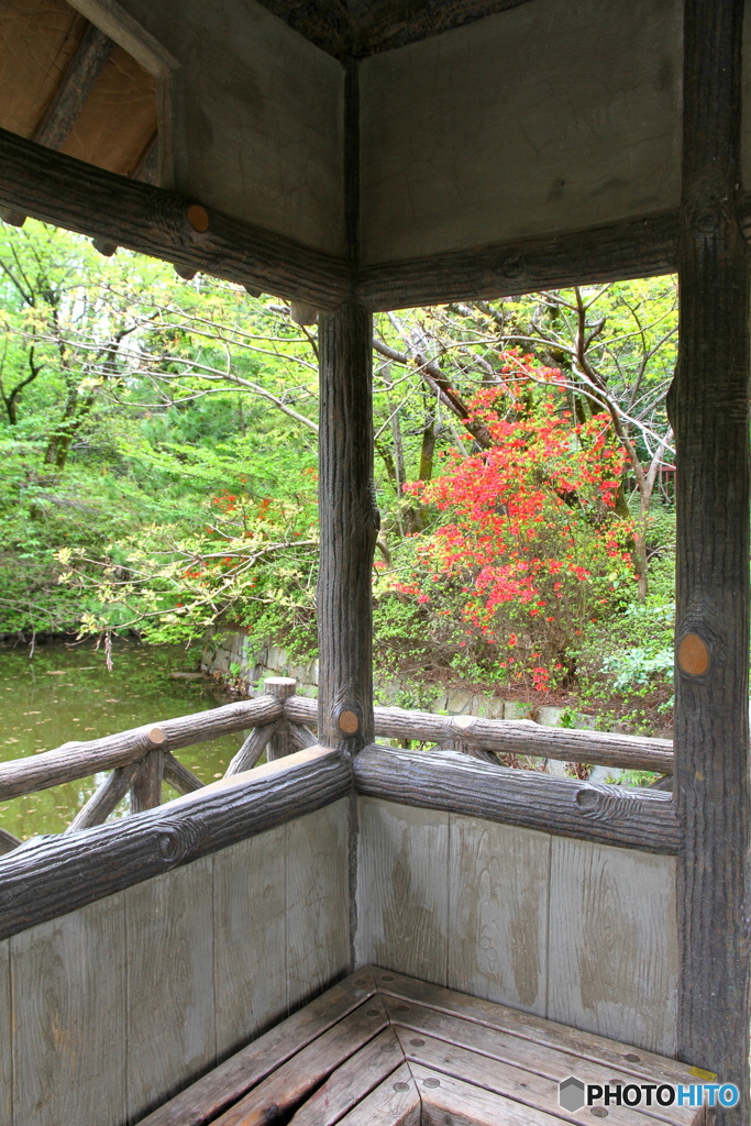 三宝寺池東屋の景