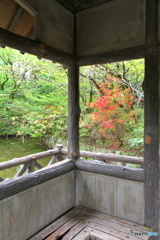 三宝寺池東屋の景