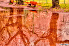 桜色の水たまり（２）