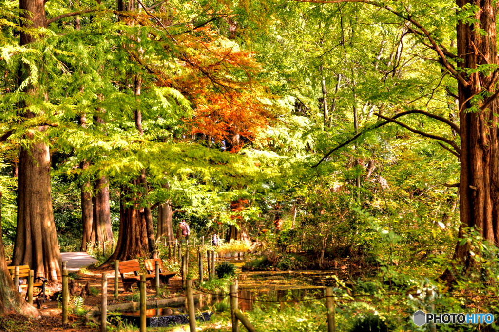 三宝寺池水場の景色