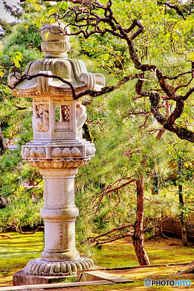 石灯籠と松