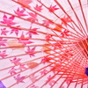 番傘紅葉遊戯