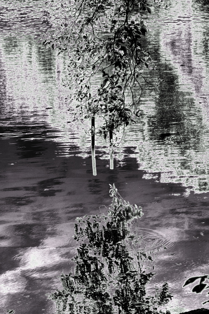 上の世界下の世界