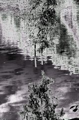 上の世界下の世界