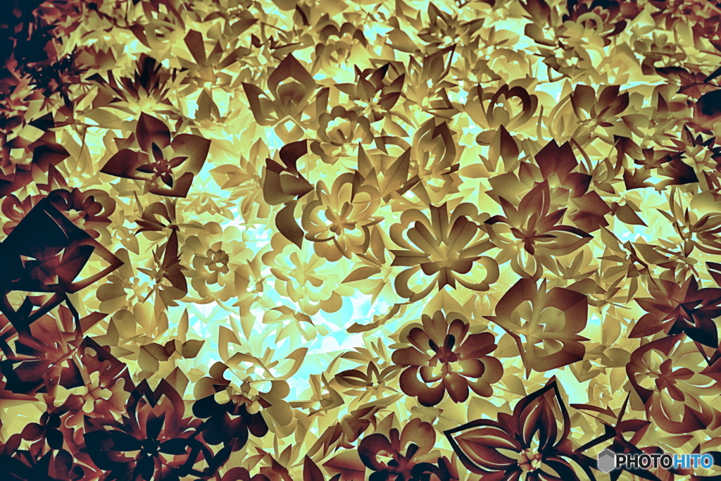 紙の花々