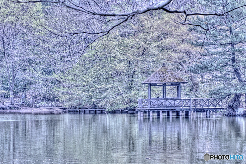 枝のフォトフレーム