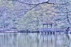 枝のフォトフレーム