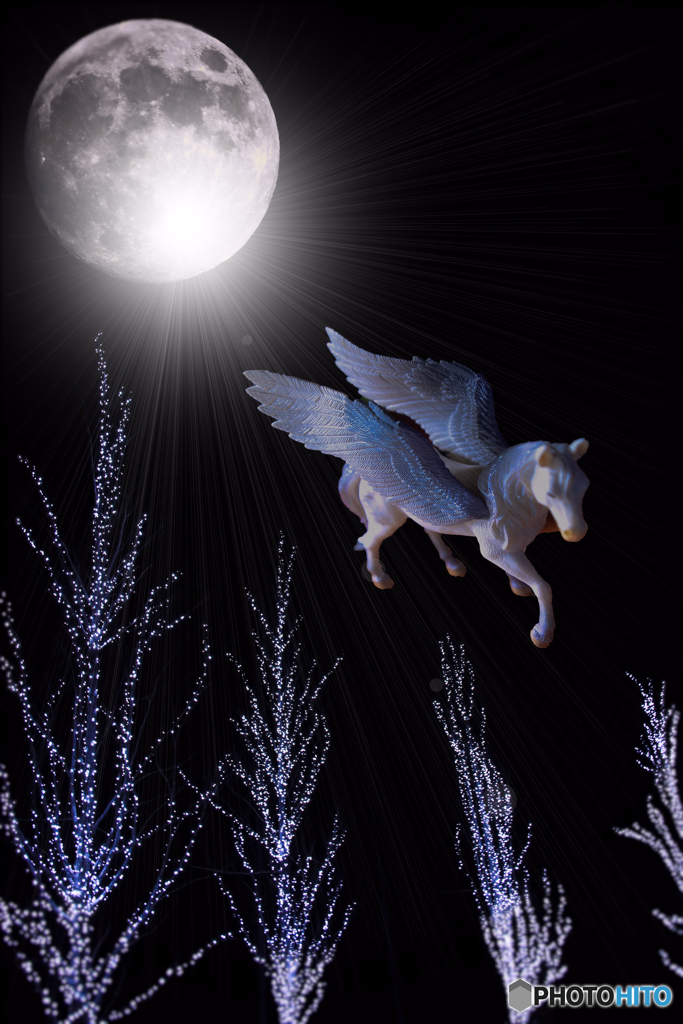 Moon Night Pegasus！