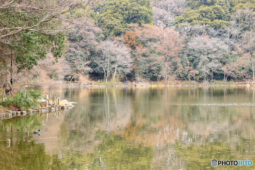 三宝寺池