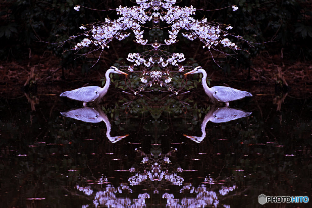 見つめ合う（２）