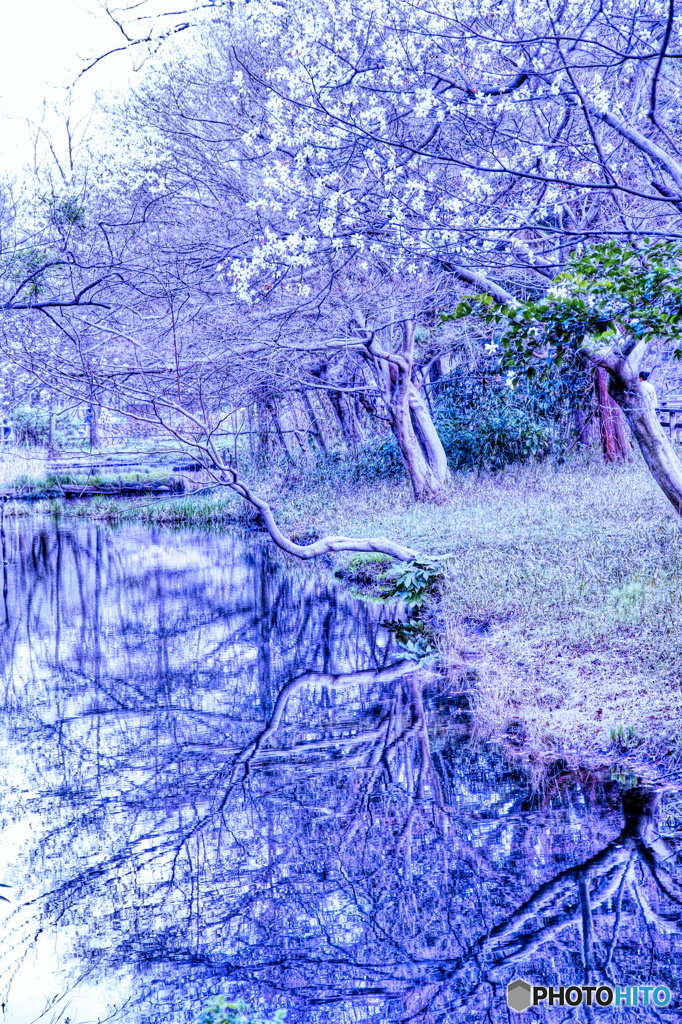 写し絵