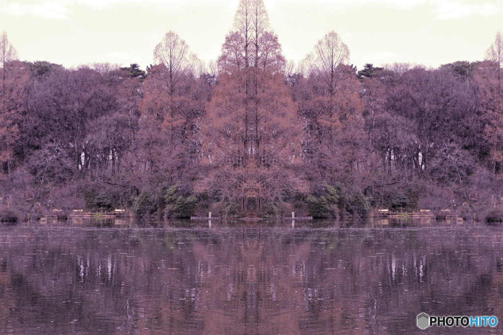 マジックピクチャー（門）