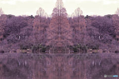 マジックピクチャー（門）