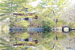 Reflection風池風景