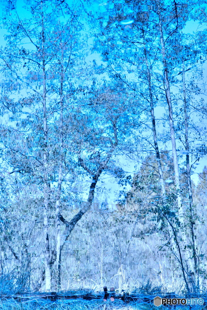 水の中の世界（３）