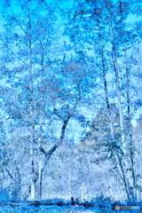 水の中の世界（３）