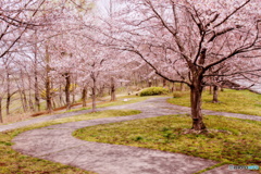 桜のある公園