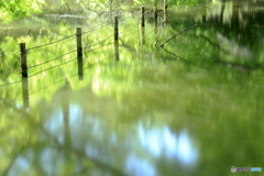 風が遊ぶ池