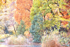 絵画的秋風景