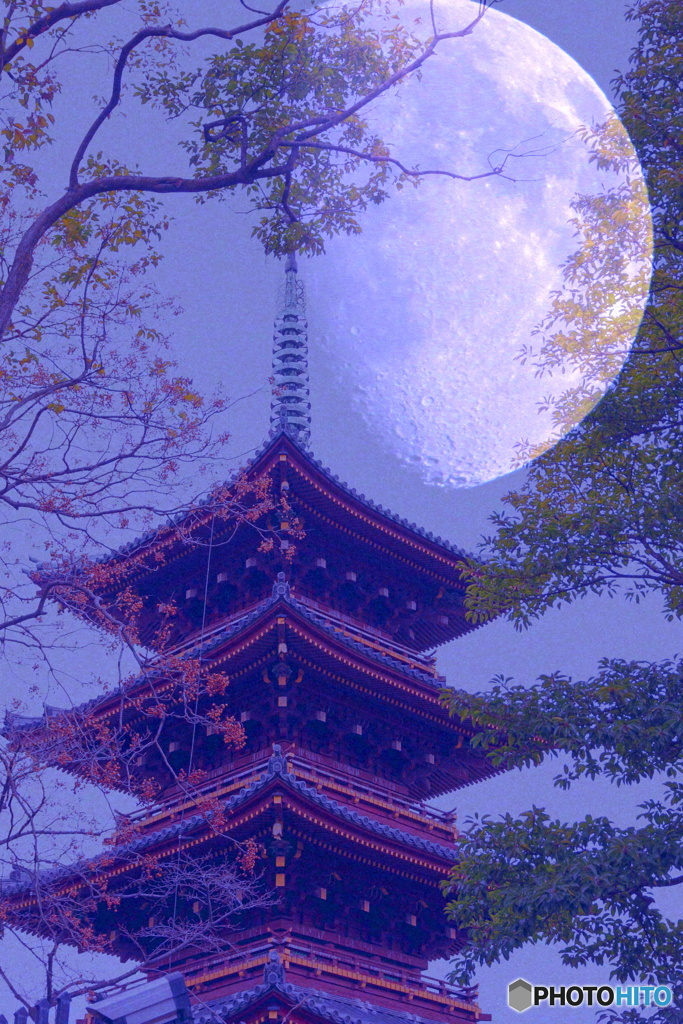 月のある風景（五重塔）