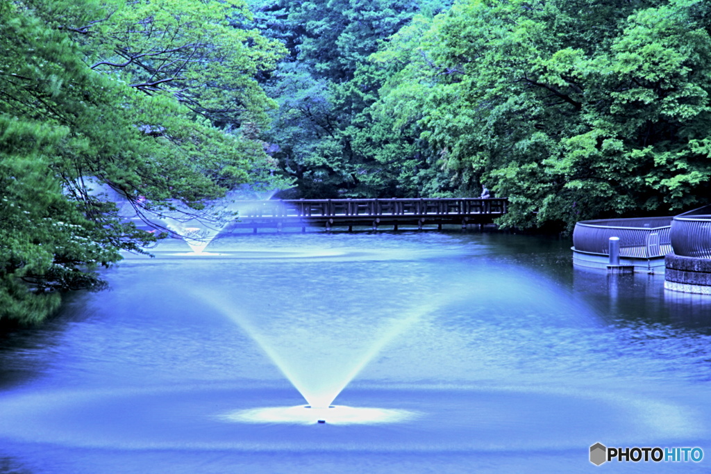 ビューポイント