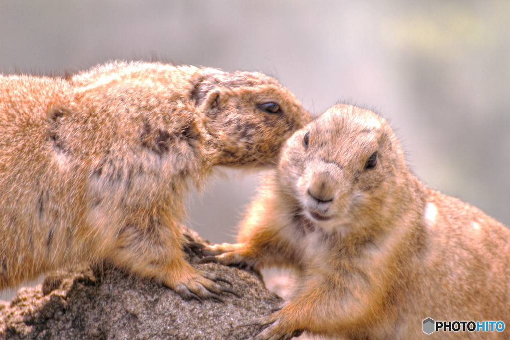 好き♡照れるって♡