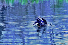 あっ！やべっ！