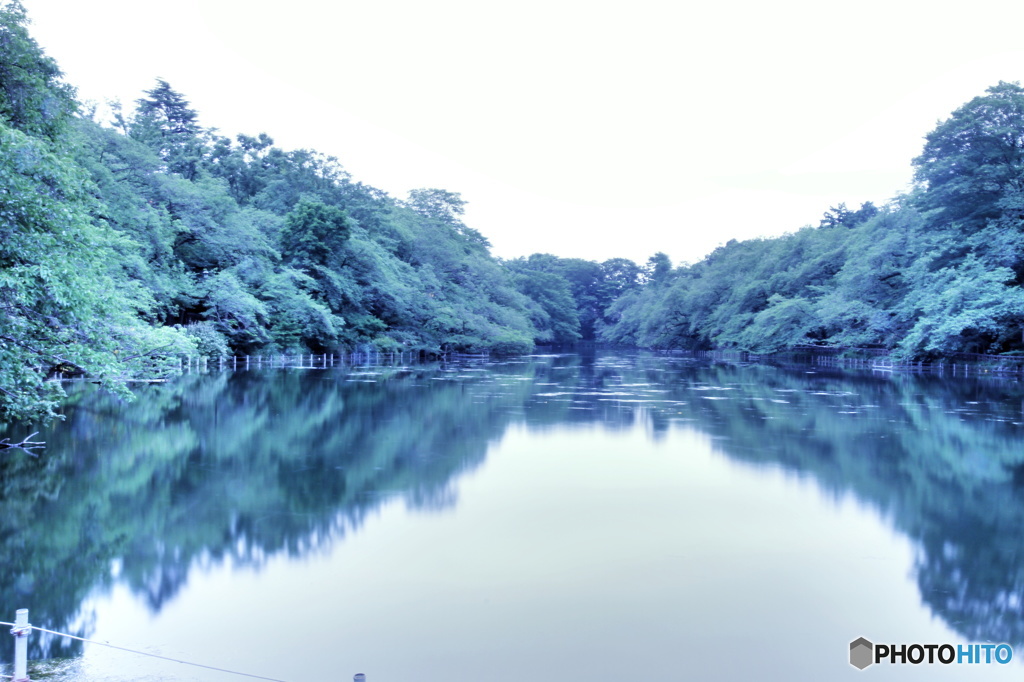 見逃していた景色
