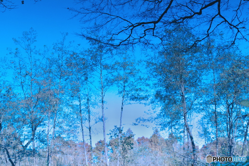 水の中の世界（１）