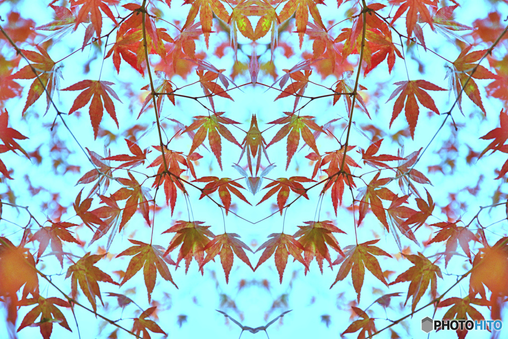万華紅葉