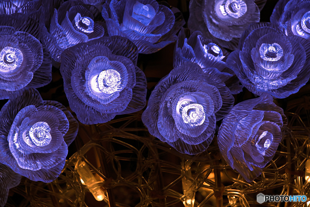 蒼く光る花 By しぐれ Id 写真共有サイト Photohito