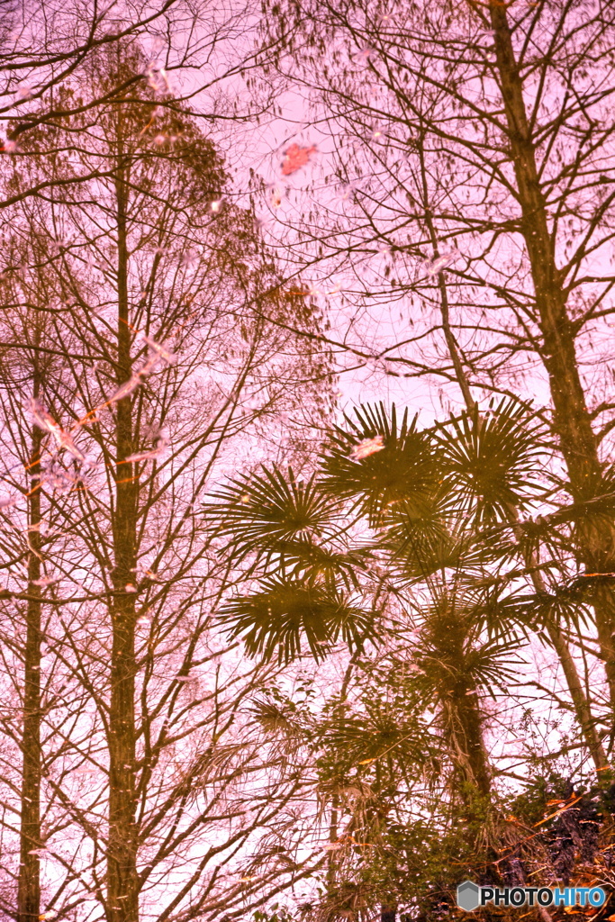 カラフル水中景色