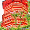 百日紅の花と五重塔