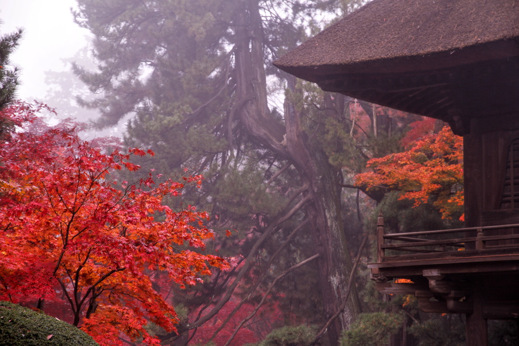 霧に包まれた悠久の時