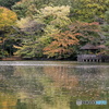 色付き始めた三宝寺池