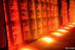 壁泉ナイトライトアップ