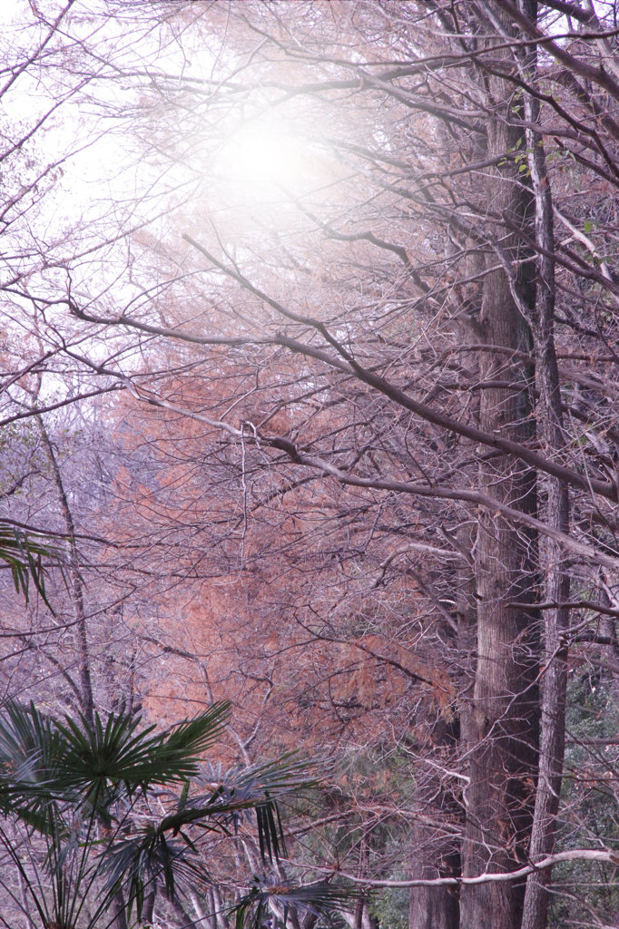 虎落笛（もがりぶえ）