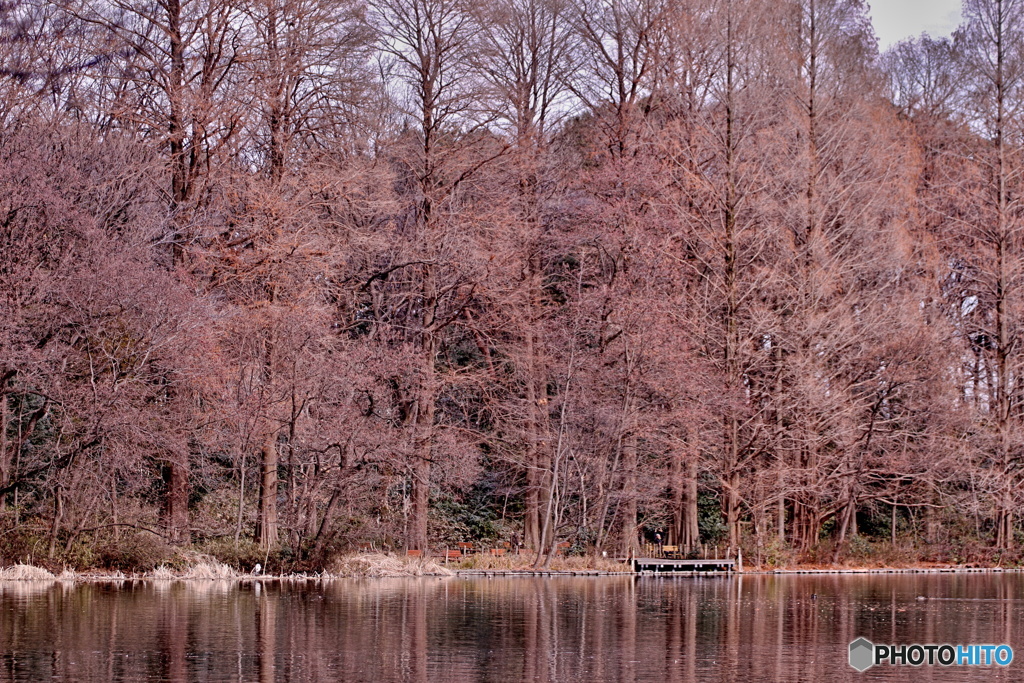 虎落笛（もがりぶえ）