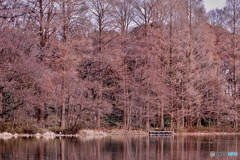 虎落笛（もがりぶえ）