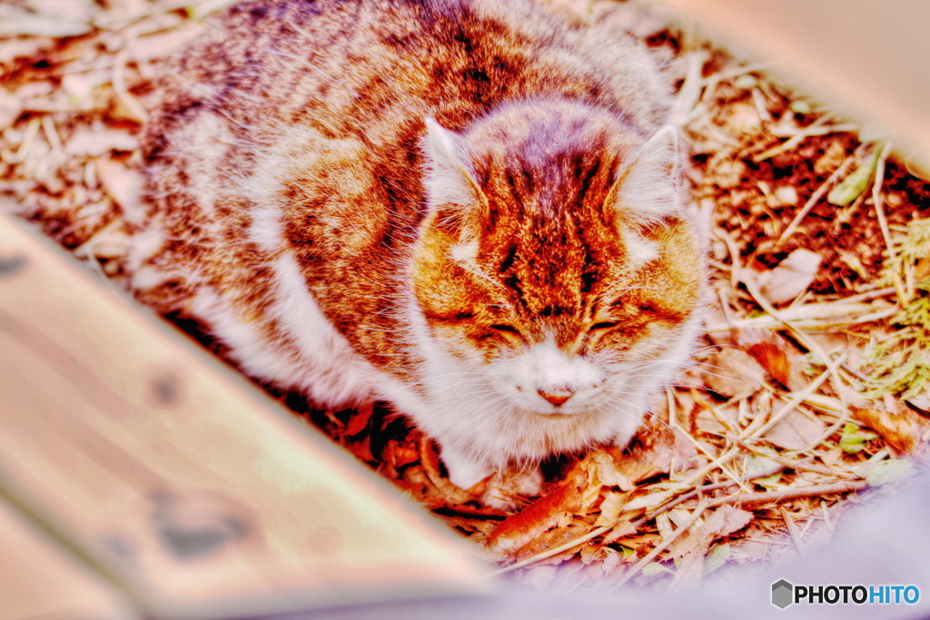 笑顔を有り難う