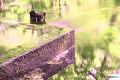 メタリックグリーン