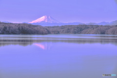 狭山湖富士景